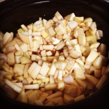 Slow cooker apple chutney