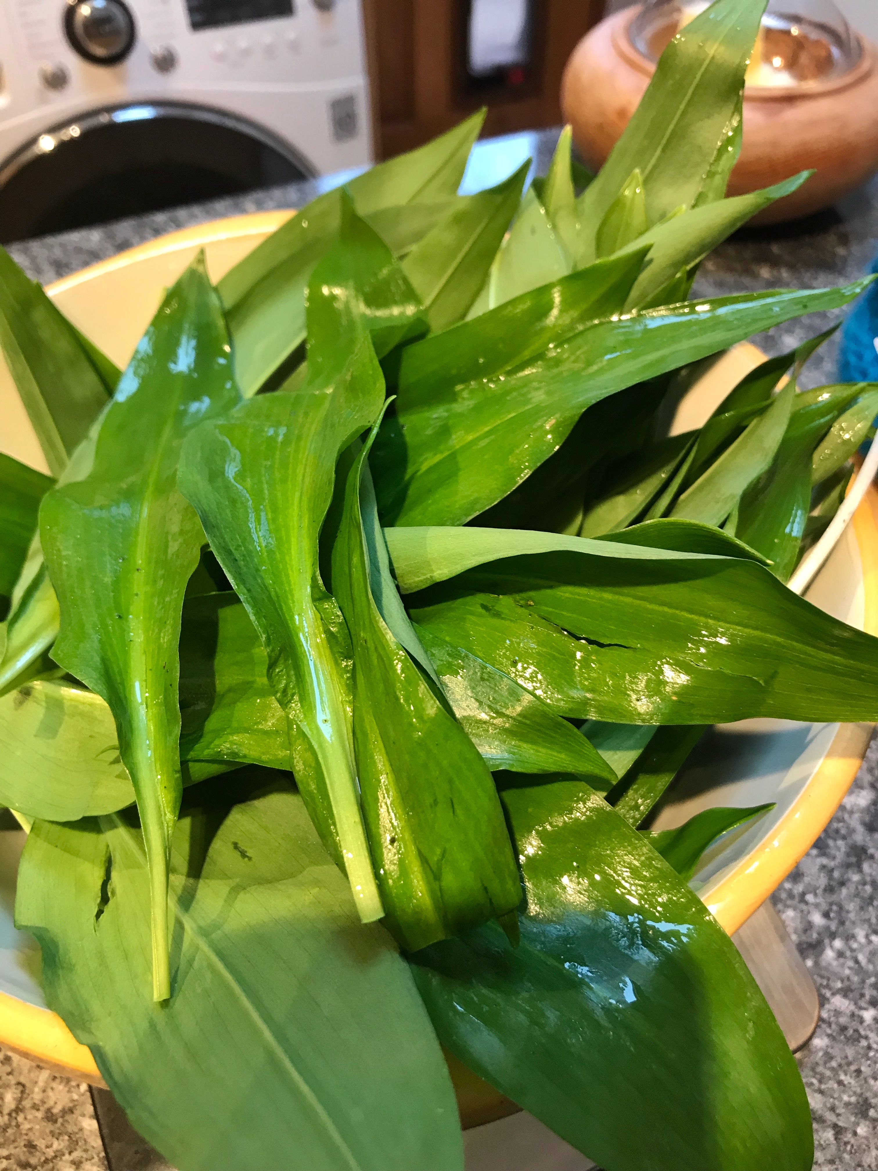 Wild Garlic Pesto. A Recipe Reworked